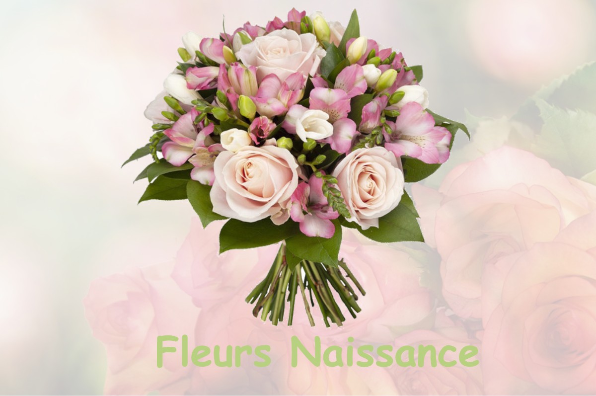 fleurs naissance VELANNE