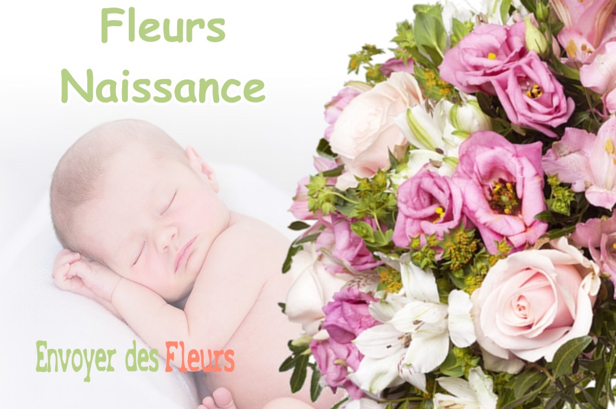 lIVRAISON FLEURS NAISSANCE à VELANNE